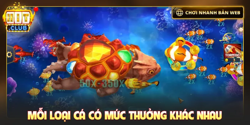 Mỗi loại cá có mức thưởng khác nhau